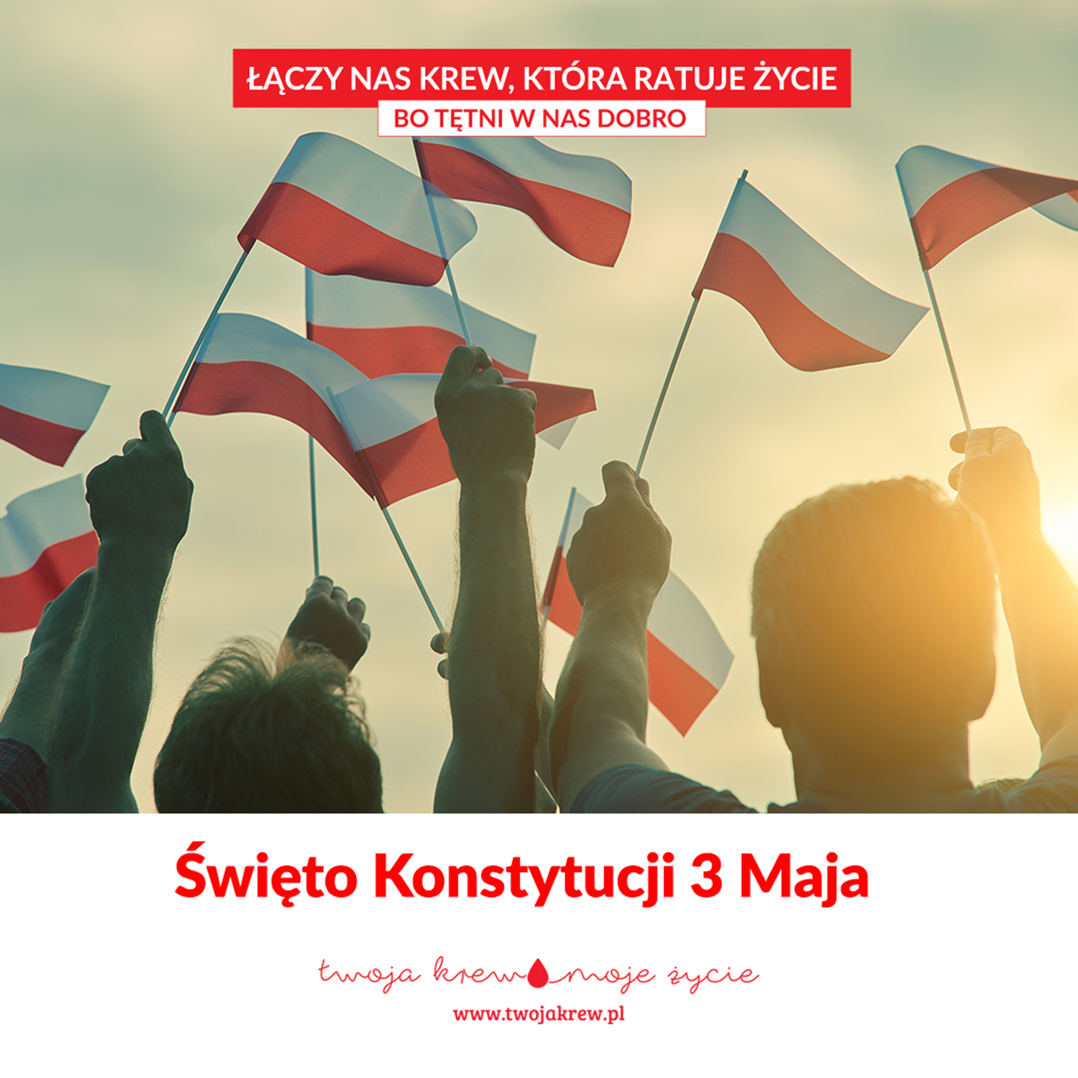 Na górze grafiki napis „Łączy nas krew, która ratuje życie., Bo tętni w nas dobro” na biało-czerwonym polu. W centrum grafiki wizerunek grupy osób trzymających polskie flagi w rękach. Na dole grafiki, w białym polu, napis „Święto Konstytucji 3 Maja” i emblemat kampanii „Twoja Krew , moje życie”.